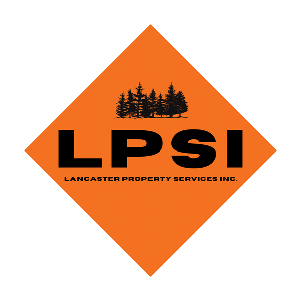 LPSI