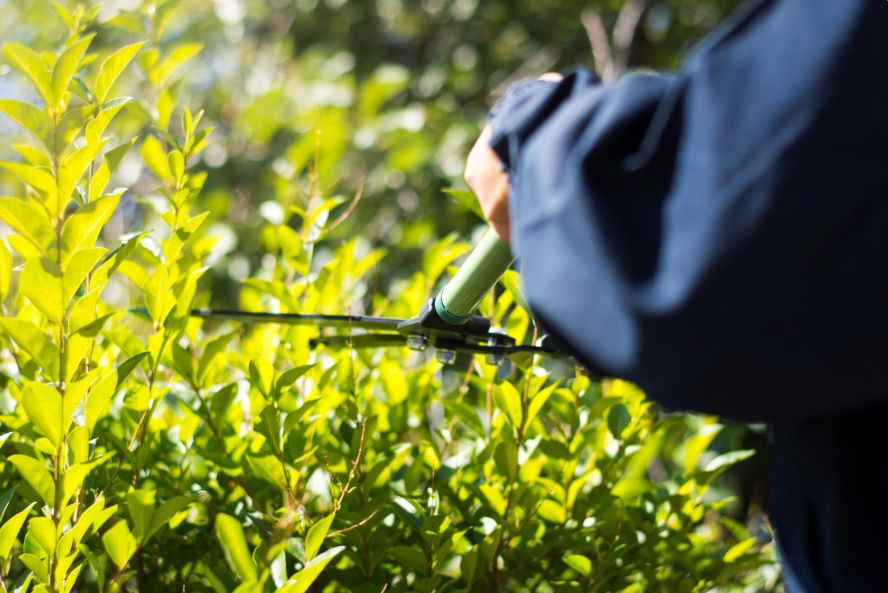 Commercial groundskeeping on a business property